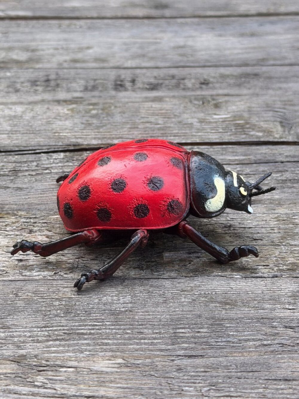 Luckystar Education Lady Bug Plastic Animal Figure Large 5" Science Nature Toy - Picture 6 of 10